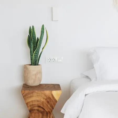 Birdhouse Private Luxury فيلة Agios Ioannis Diakoftis