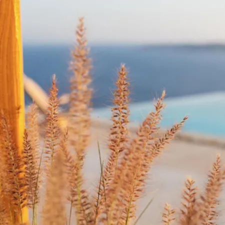 Birdhouse Private Luxury Villa Agios Ioannis Diakoftis