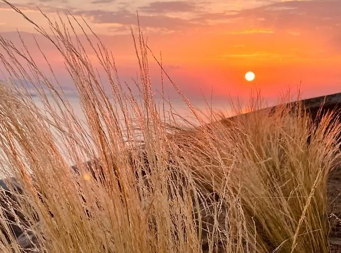 Birdhouse Private Luxury Villa - Romantic Couple Retreat * Agios Ioannis Diakoftis