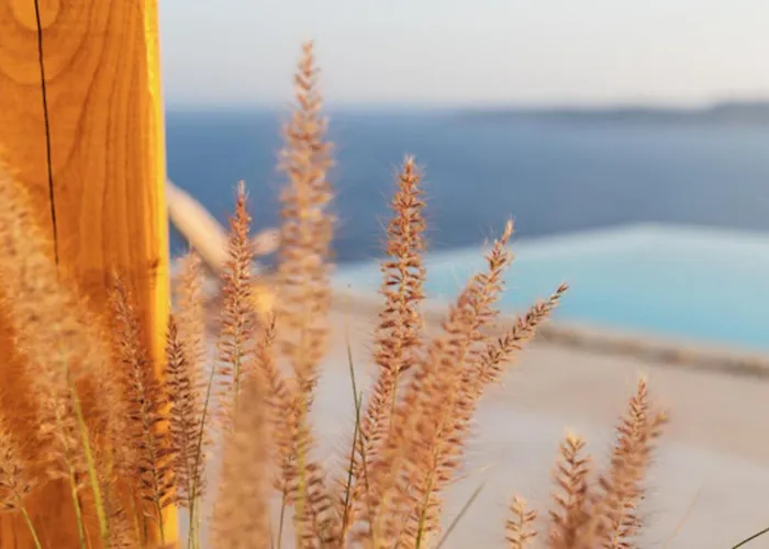 Birdhouse Private Luxury Villa - Romantic Couple Retreat Вилла Agios Ioannis Diakoftis