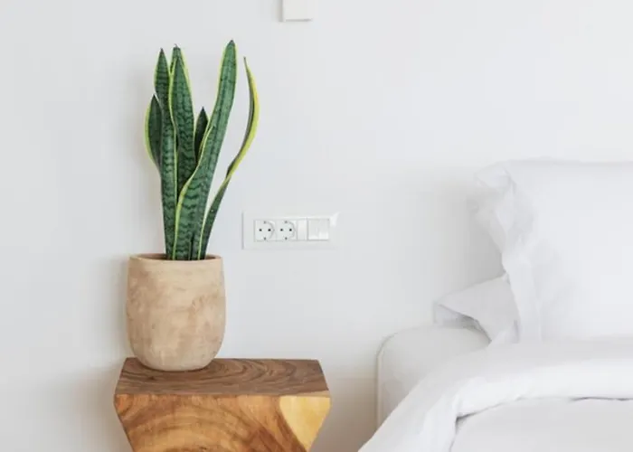 Birdhouse Private Luxury - Romantic Couple Retreat 别墅 Agios Ioannis Diakoftis