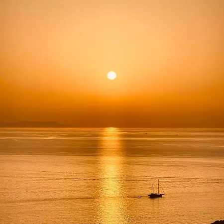 Birdhouse Private Luxury *